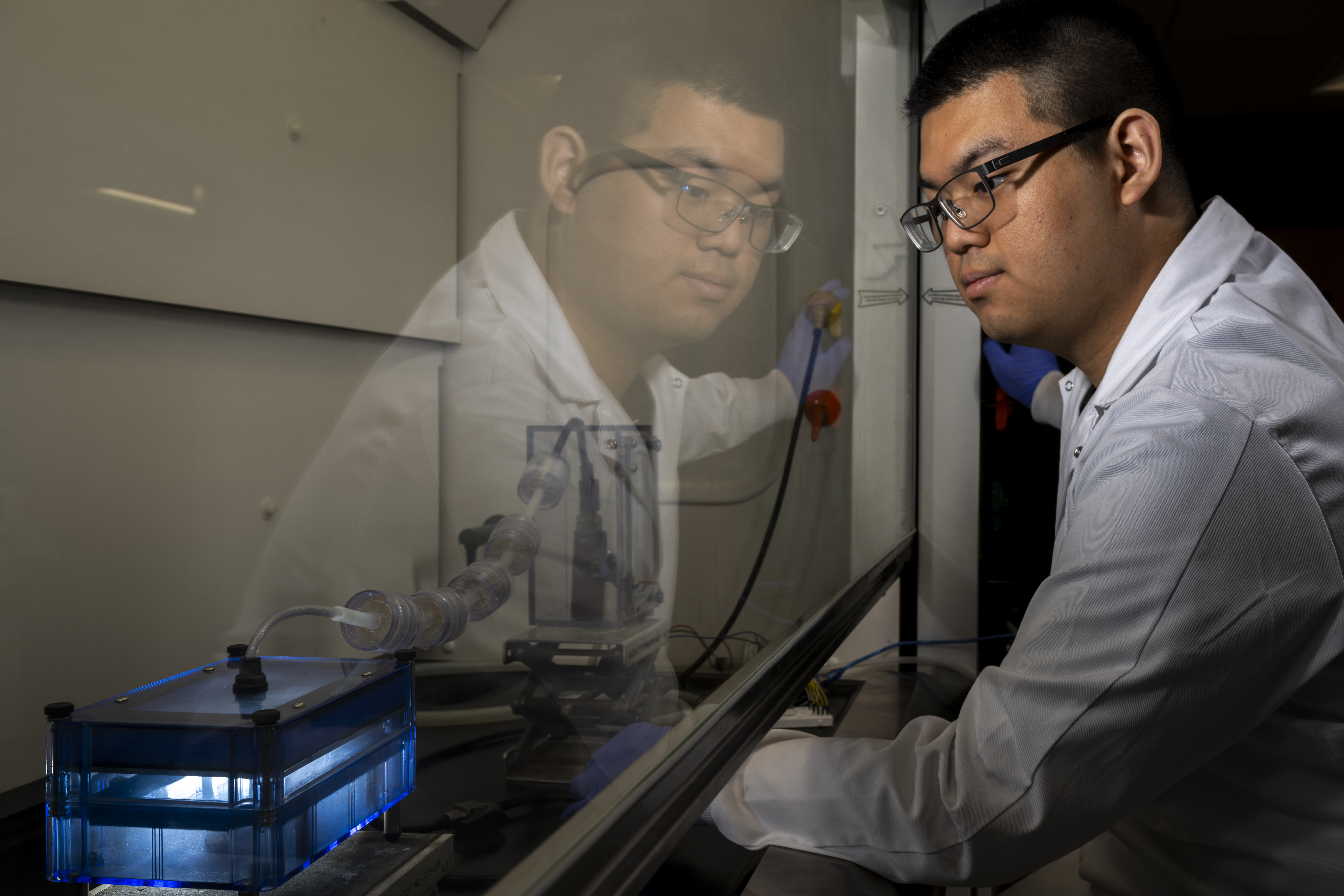 Student sets up small animal e-cigarette vapor chamber in fume hood